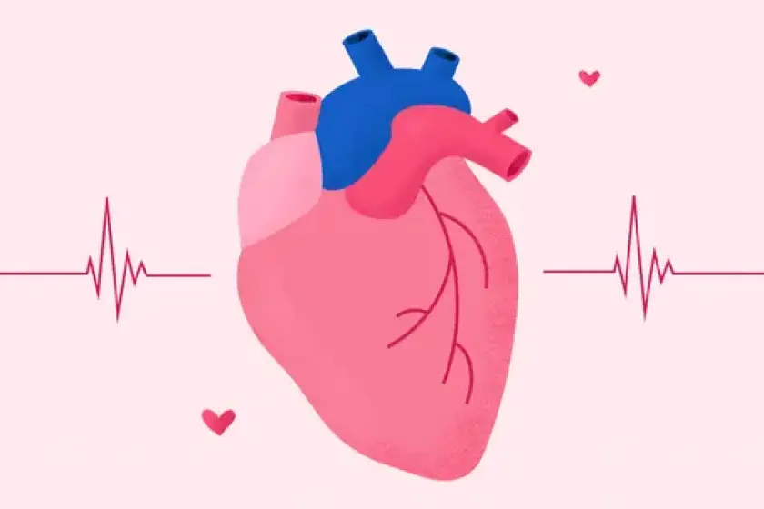 Cách ổn định nhịp tim hiệu quả: Phương pháp đơn giản bạn nên biết